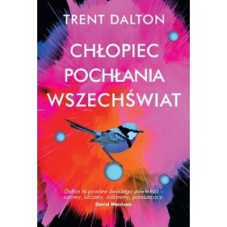 Chłopiec pochłania wszechświat