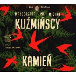 Kamień (książka audio)