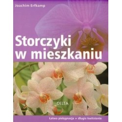 Storczyki w mieszkaniu