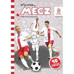 PZPN. Moje boisko. Mecz....