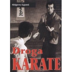 Droga karate