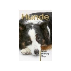 Hunde