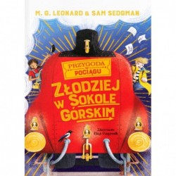 Złodziej w Sokole Górskim....