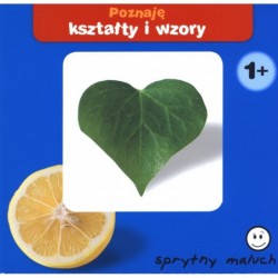 Poznaje kształty i wzory