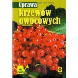 Uprawa krzewów owocowych