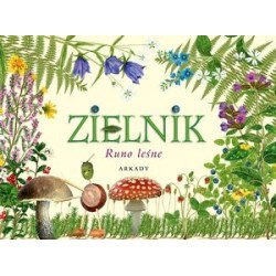 Zielnik. Runo leśne