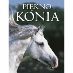 Piękno konia