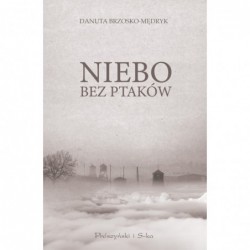 Niebo bez ptaków