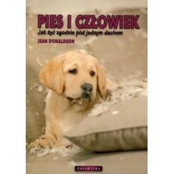 Pies i człowiek