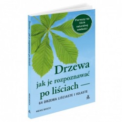 Drzewa – jak je rozpoznawać...