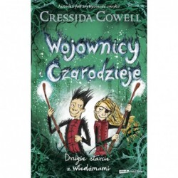 Wojownicy i Czarodzieje....