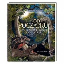Od początku, czyli...