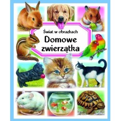 Świat w obrazkach. Domowe...